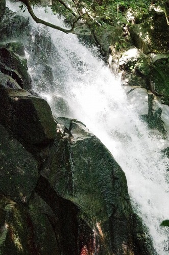 e0176993_11492069.jpg