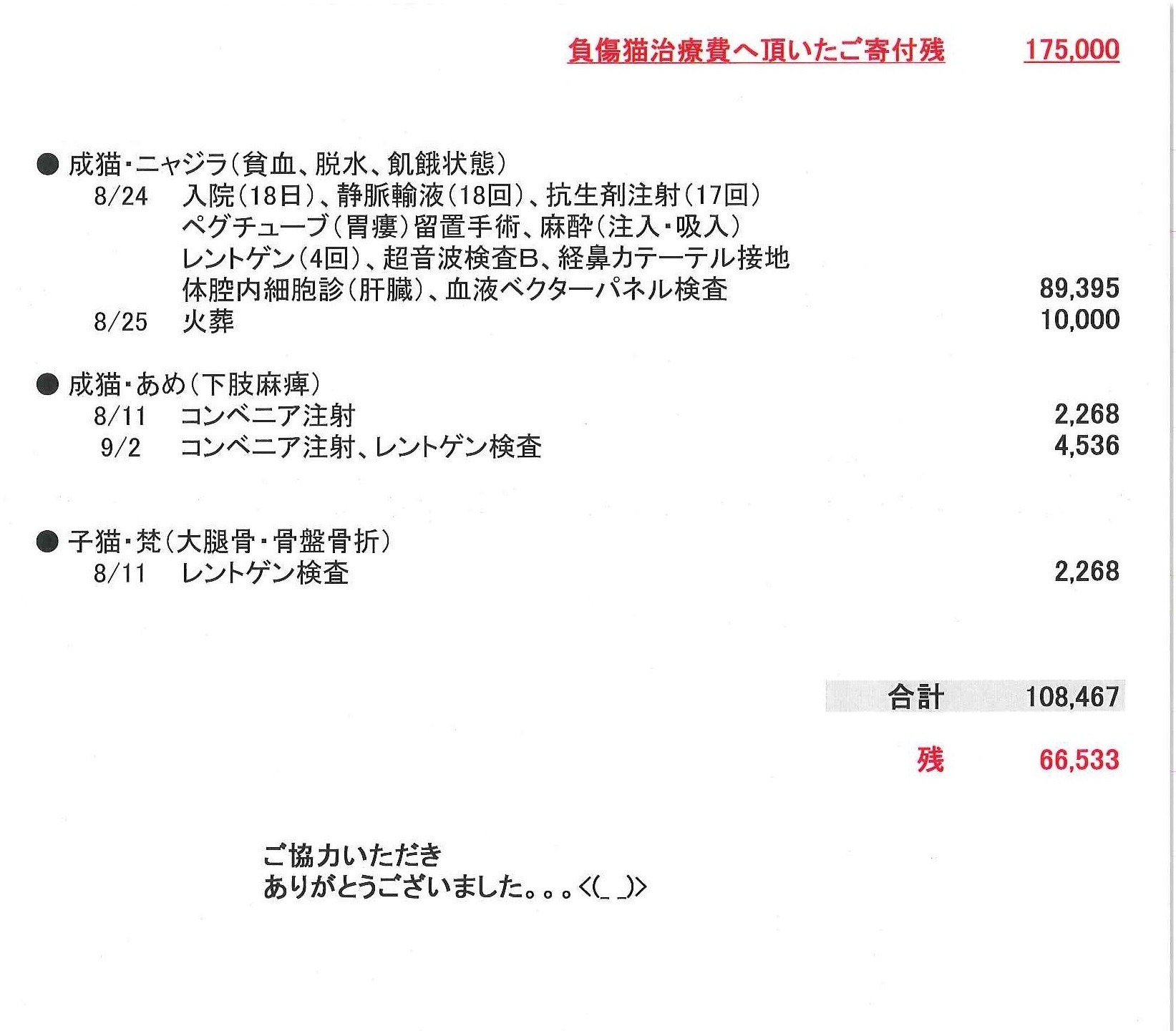 医療費支出のご報告です_f0242002_19243548.jpg