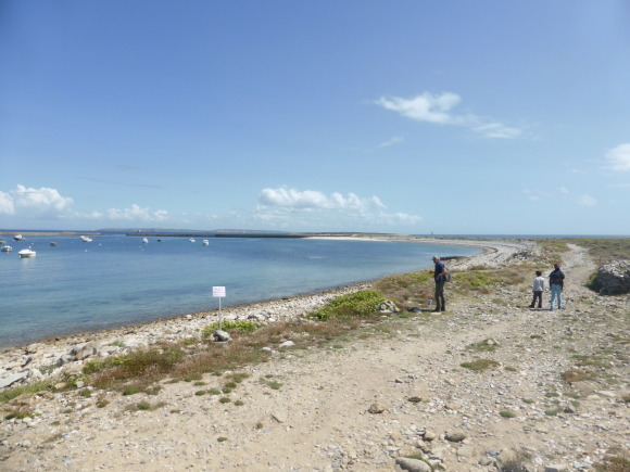 e0110807_18505593.jpg