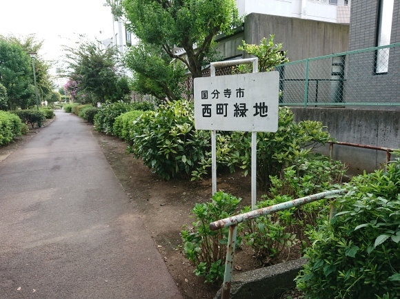b0042308_11193304.jpg