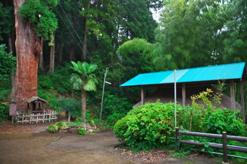 a0263109_20213404.jpg