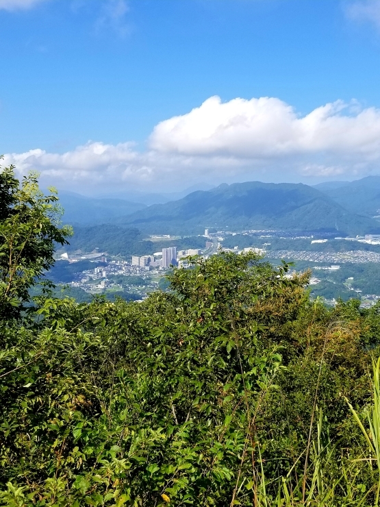 台風21号の後を追い❕_f0219710_09540208.jpg