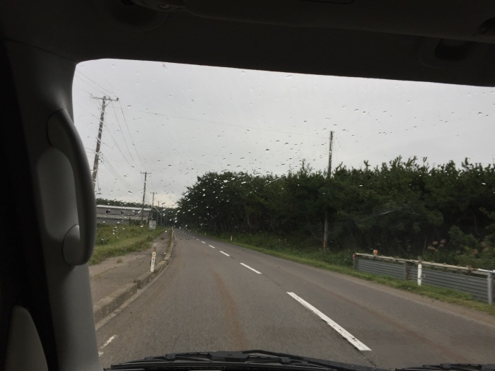 台風21号　来るのかなあ_b0150120_19191916.jpg