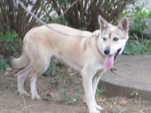 f0078320_23334561.jpg