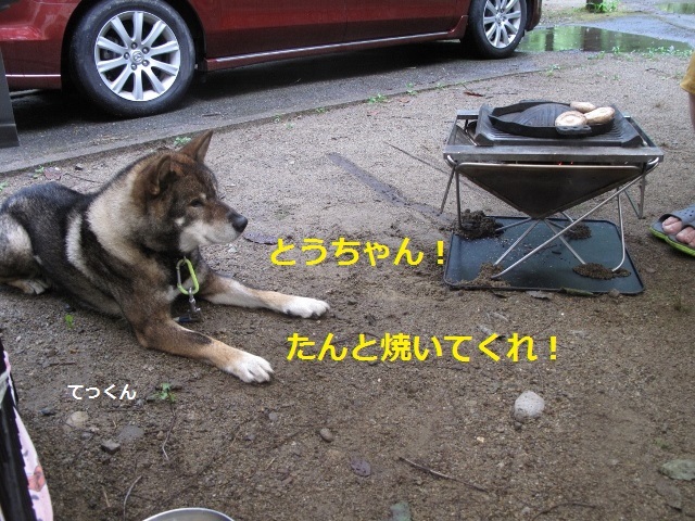 f0143123_09074094.jpg