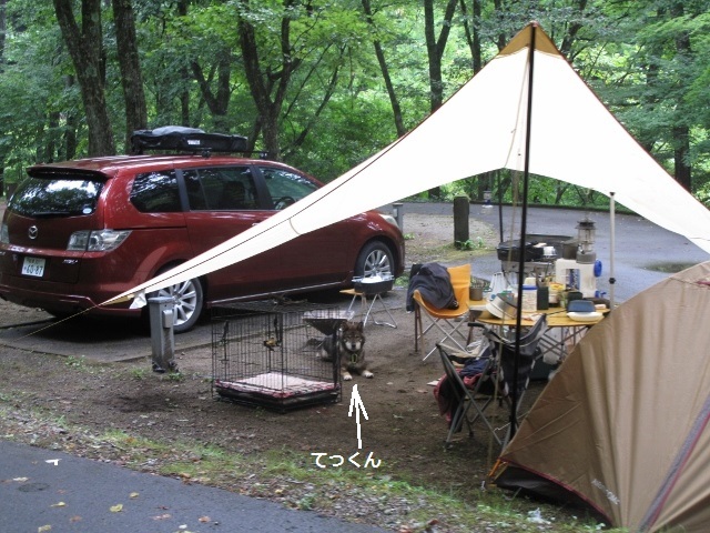 f0143123_09082429.jpg