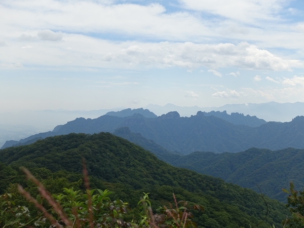 b0119525_20450724.jpg