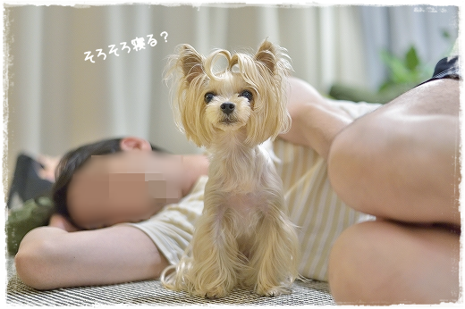 d0179828_09344058.png