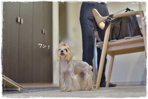 d0179828_09432351.png