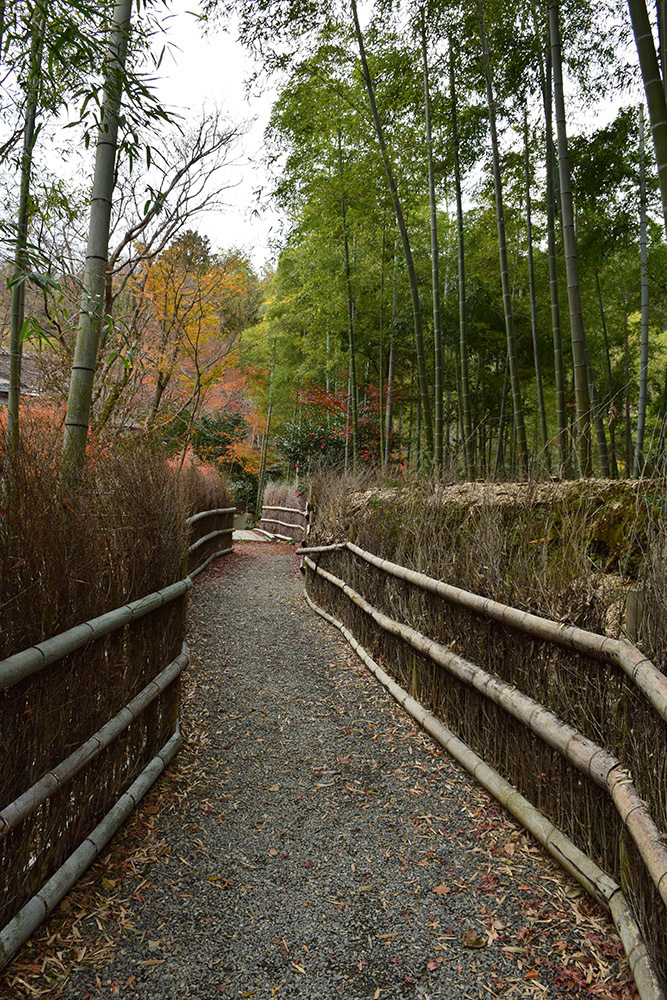 幕末京都逍遥 その134 「村岡局（津崎矩子）墓所（直指庵