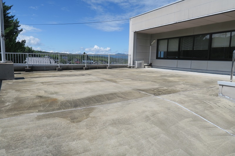 真っ白なGDB型STIとヤママユガの一生_f0076731_11205422.jpg
