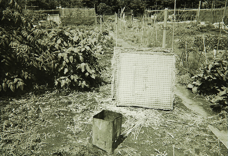 c0381632_12484301.jpg