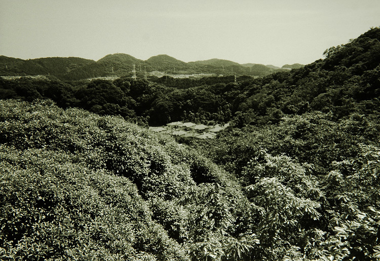 c0381632_13163423.jpg