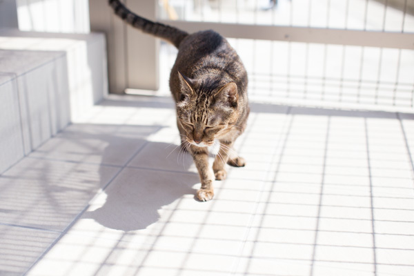 あちゃー_d0355333_08465953.jpg