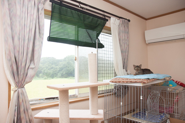 お外が見えるね_d0355333_17591252.jpg