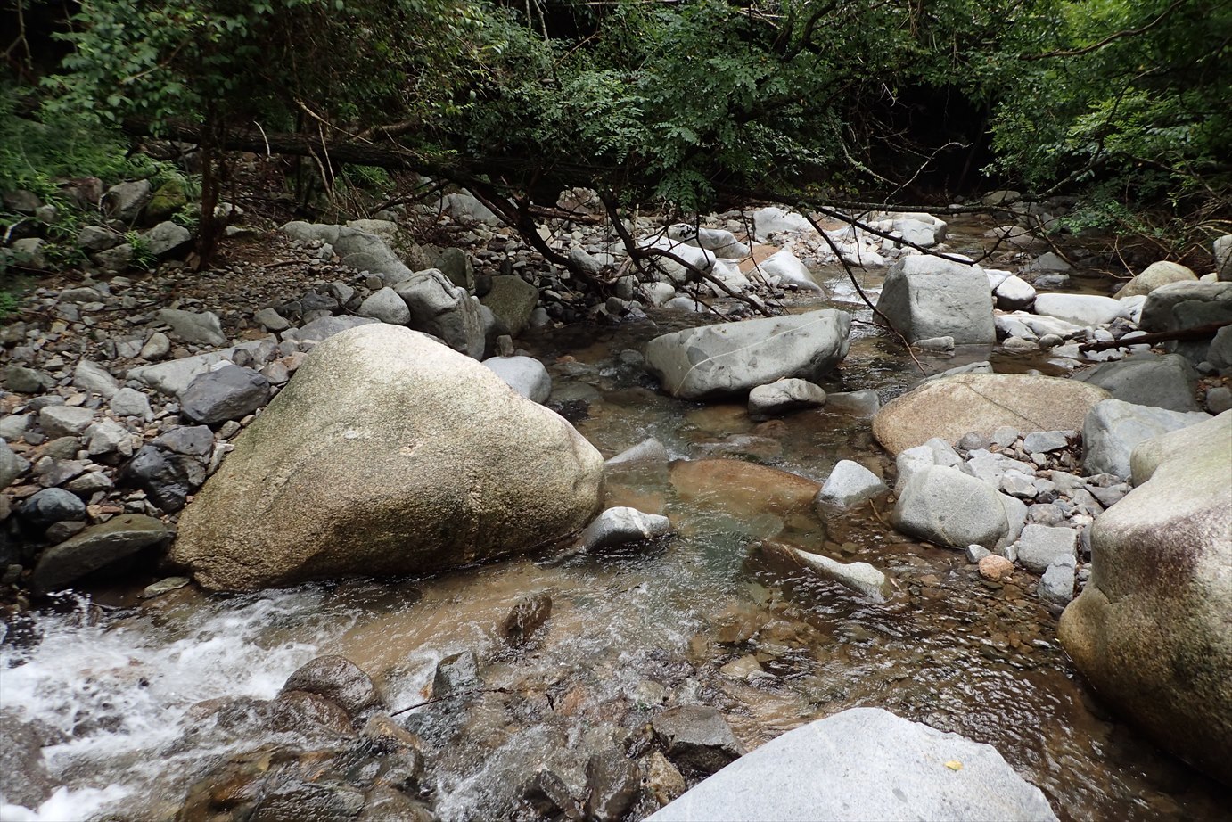 △　矢原川本谷(左俣)　△_f0348933_16542542.jpg