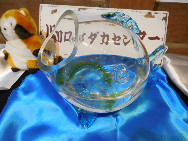 e0097534_15345771.jpg