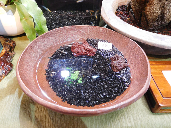 e0097534_15402940.jpg