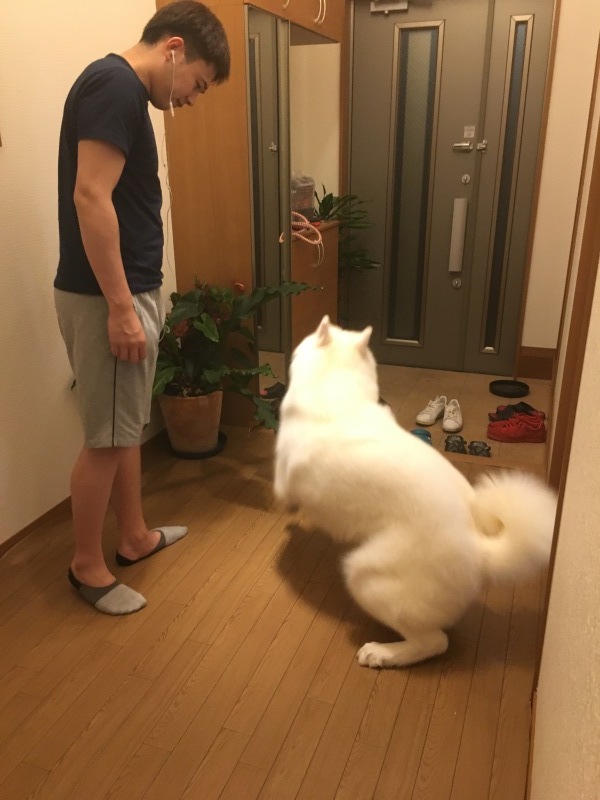 e0364035_23333288.jpeg