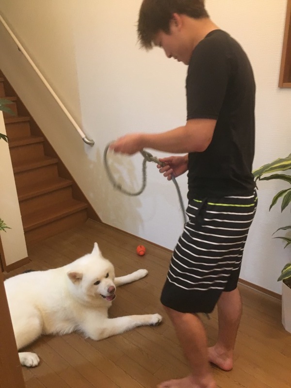 e0364035_23434995.jpeg