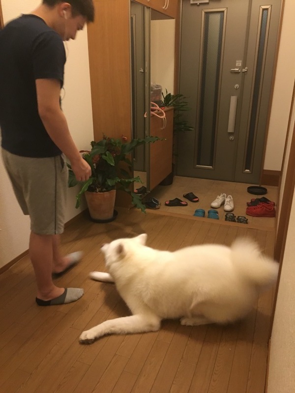 e0364035_23470813.jpeg