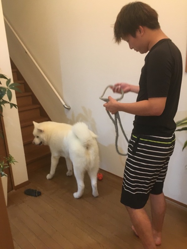 e0364035_23495649.jpeg