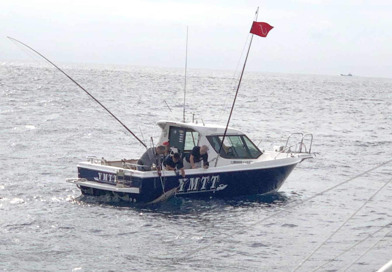 遠州灘土日は大爆釣 浜名湖チーム_f0009039_17101538.jpg