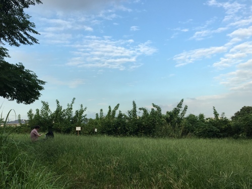 b0330040_22051976.jpeg