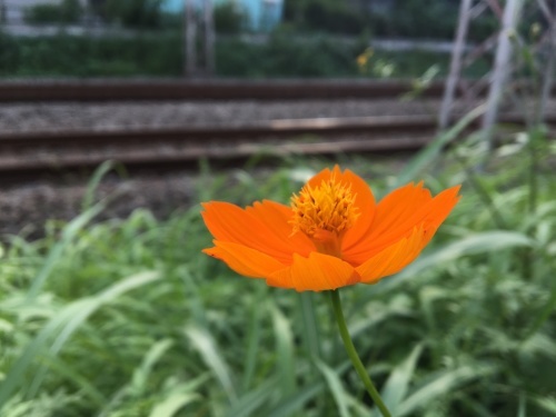 b0330040_22170791.jpeg
