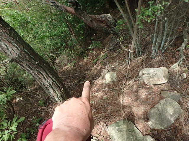 f0334143_9135824.jpg