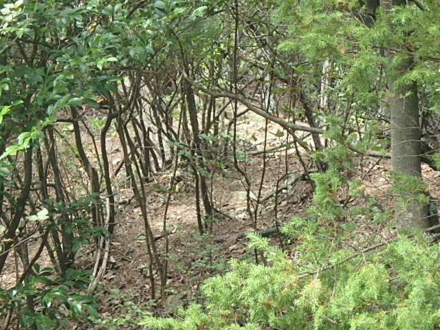 f0334143_9152364.jpg