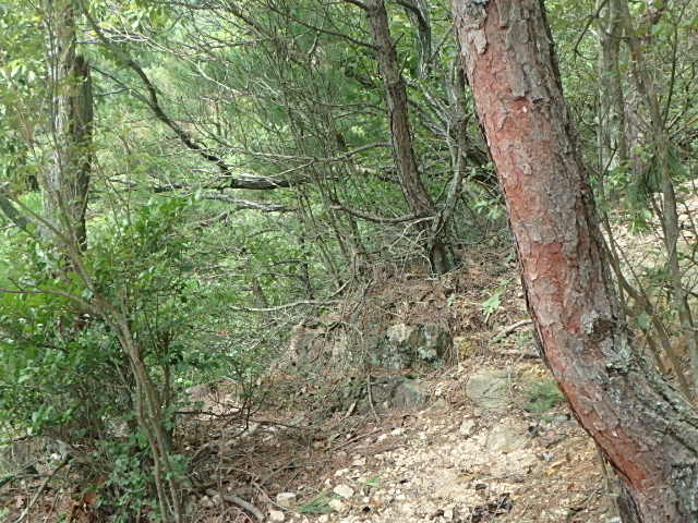 f0334143_9153388.jpg