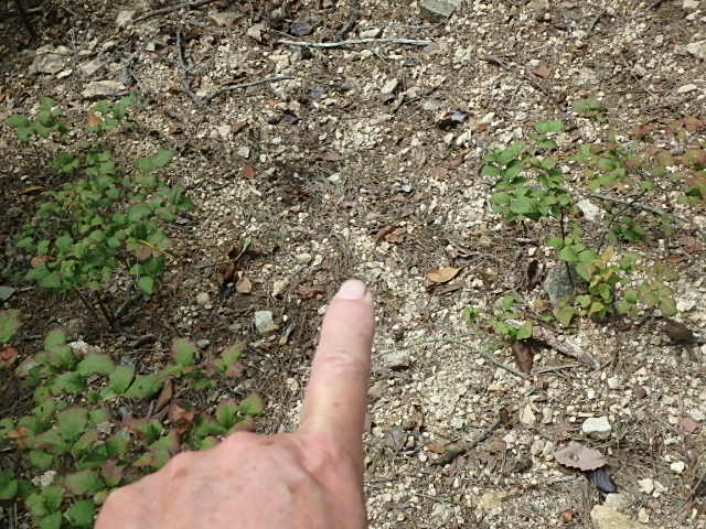 f0334143_9154463.jpg