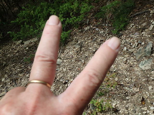 f0334143_91598.jpg