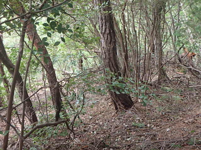f0334143_9181078.jpg