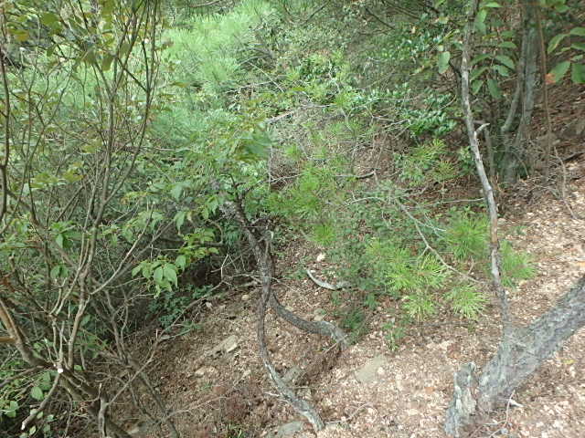 f0334143_9182469.jpg