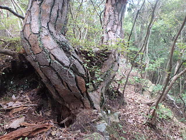 f0334143_9185512.jpg