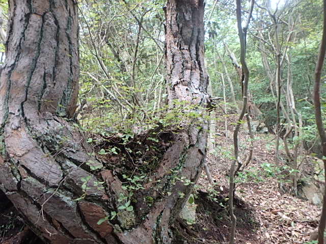 f0334143_919850.jpg