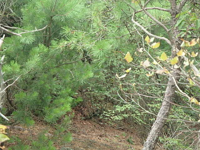 f0334143_9202478.jpg
