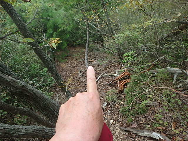f0334143_920454.jpg