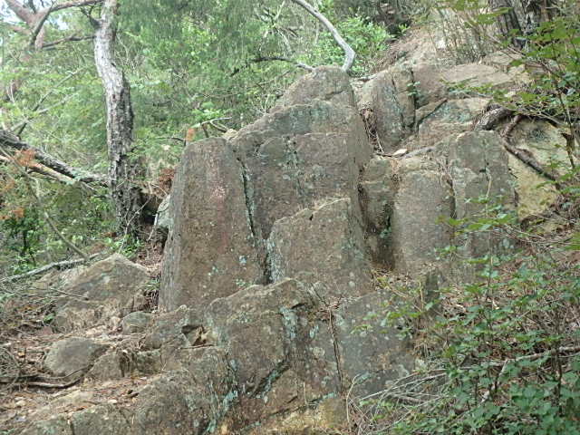f0334143_921043.jpg