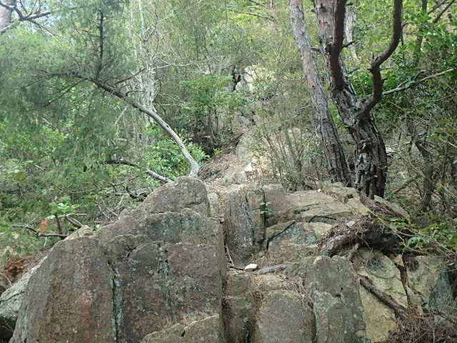 f0334143_921366.jpg