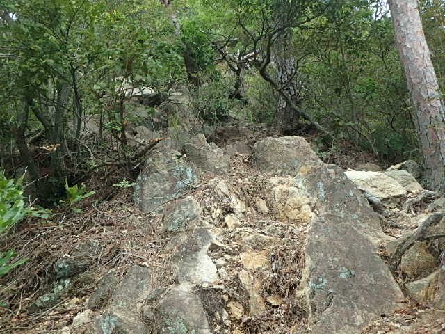 f0334143_9215255.jpg