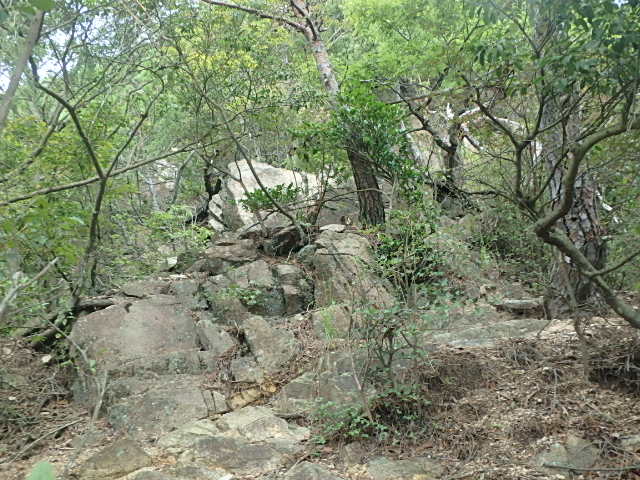 f0334143_9221480.jpg