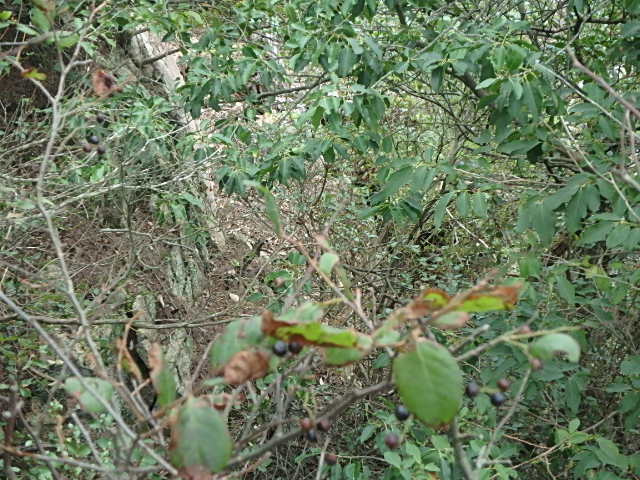 f0334143_9223869.jpg