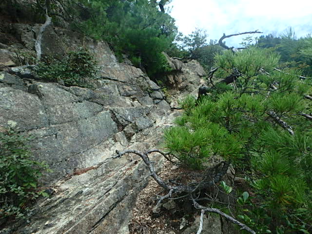 f0334143_9231091.jpg