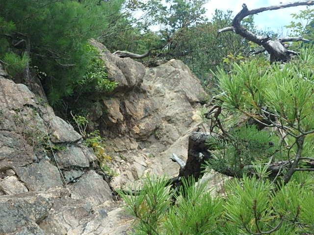 f0334143_9232621.jpg