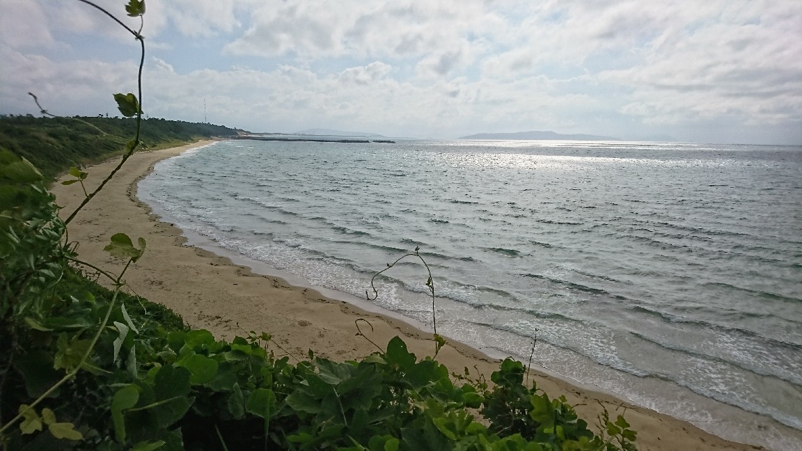d0149957_15541379.jpg