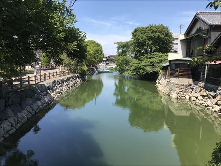 大トロ丼と桑名城址_e0044657_20525769.jpg