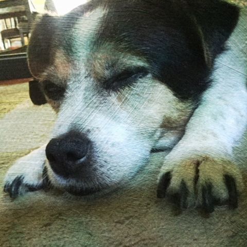 e0203961_02392200.jpg